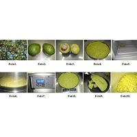 Alimentos liofilizados producidos en españa / asesoría en liofilización de alimentos